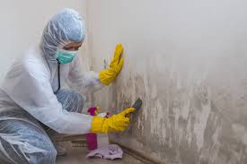 Best Comprehensive Air Testing for Mold Contaminants  in Los Banos, CA